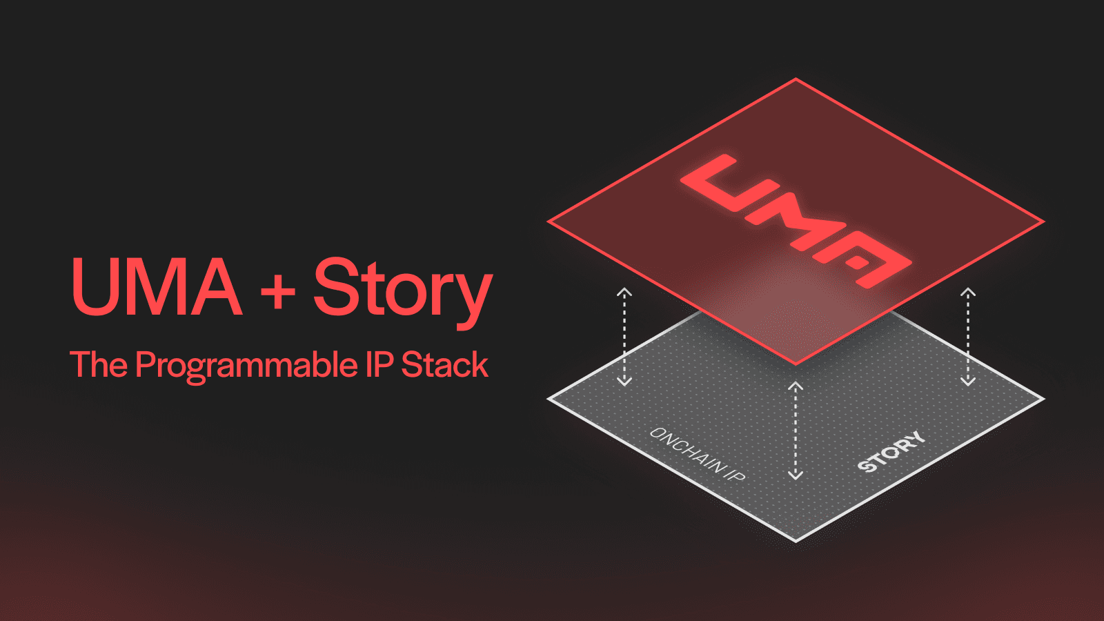 Story collaborates with UMA to form the programmable IP stack.